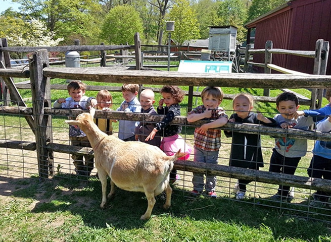 kids standing by a fence petting a sheep