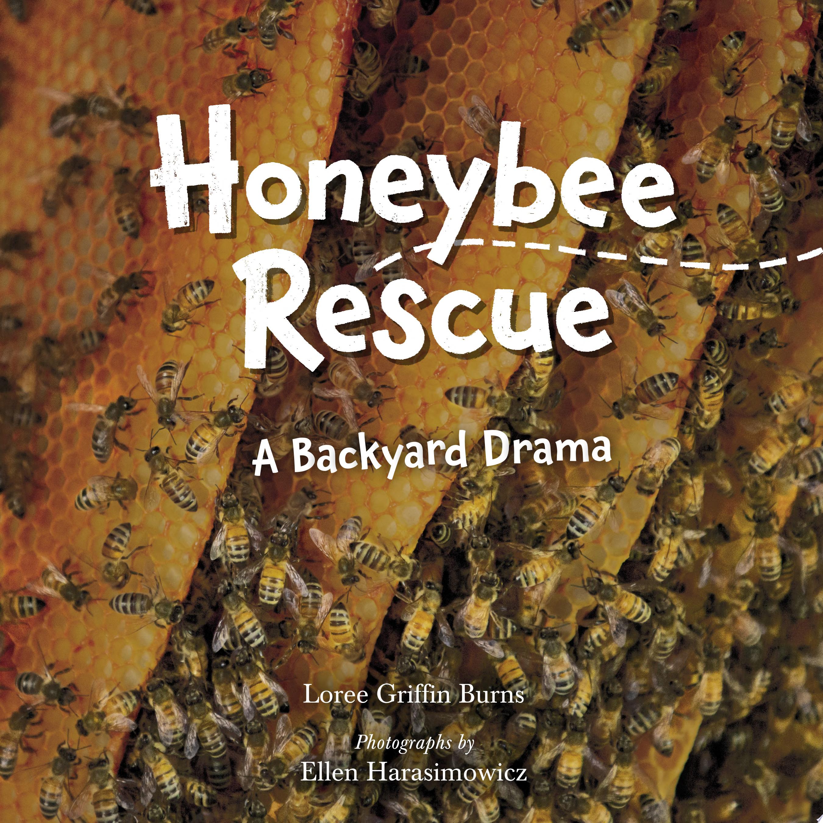 Image for "Honeybee Rescue"