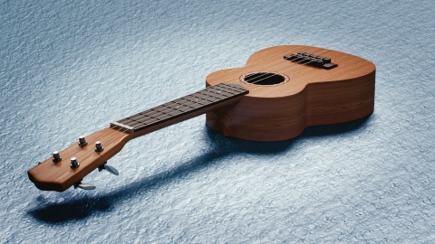 Ukulele picture