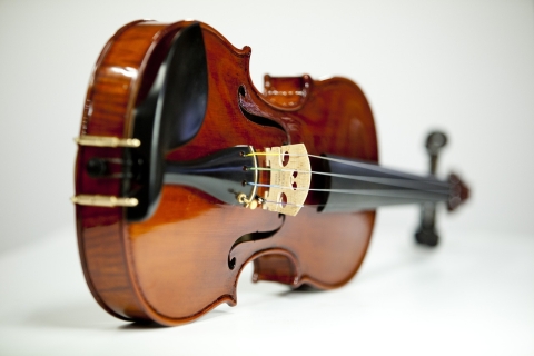 Picture of a violin