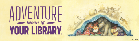 Summer Reading Banner logo