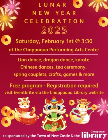 Lunar New Year celebration 2025 flyer with snakes, coins, and firework images