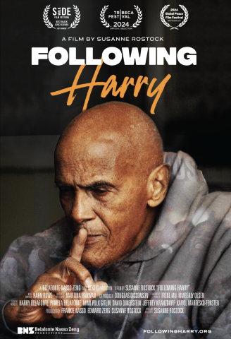 movie poster for Following Harry