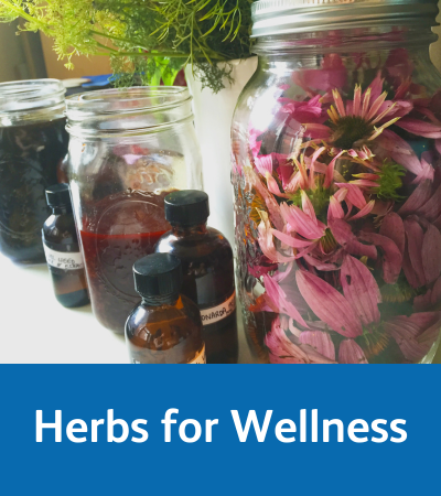 Herbs for wellness