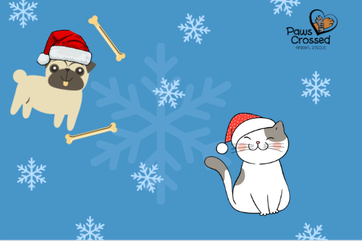 dog and cat in santa hats