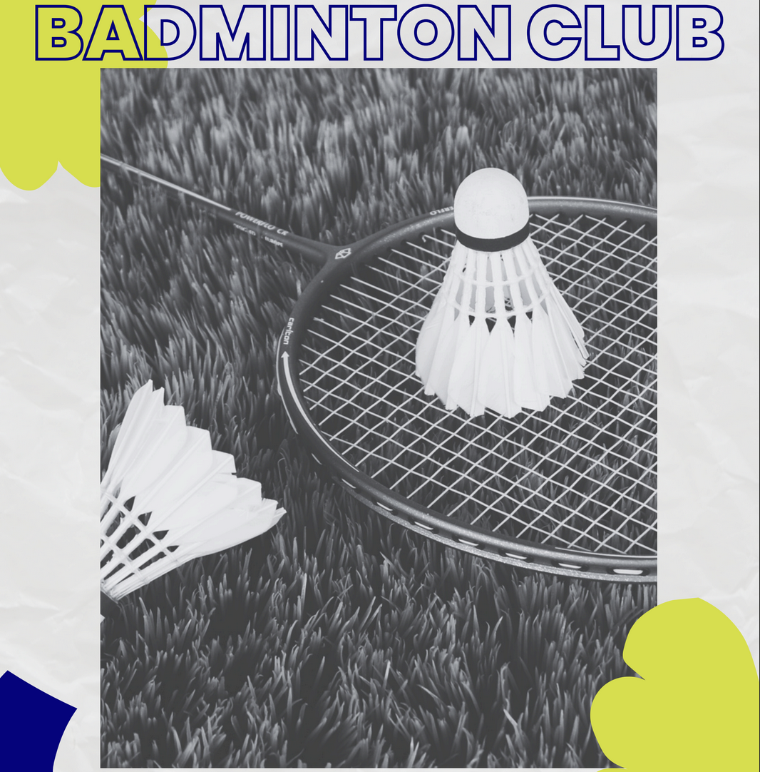 Badminton racket and birdie