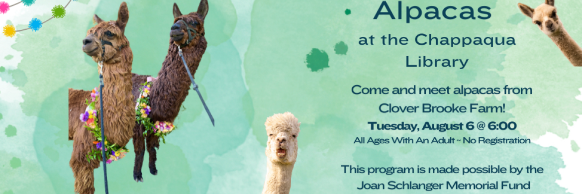 Alapacas at the Chappaqua Library Come and meet alpacas from Clover Brooke Farm! Tuesday, August 6 @ 6:00 all ages with an adult. This program is made possible by the Joan Schlanger Memorial Fund