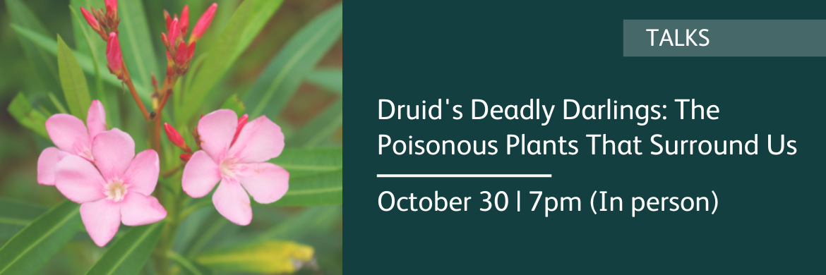 Druid's Deadly Darlings october 30